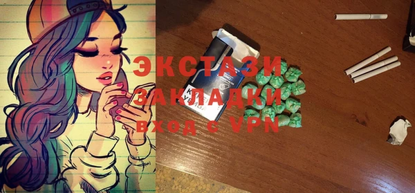 ECSTASY Алзамай