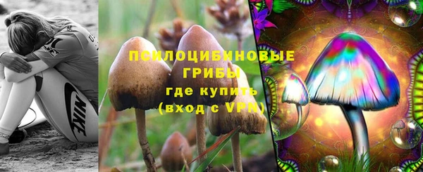 ECSTASY Алзамай