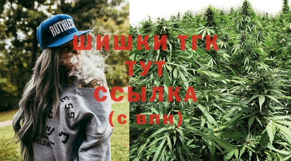 ECSTASY Алзамай